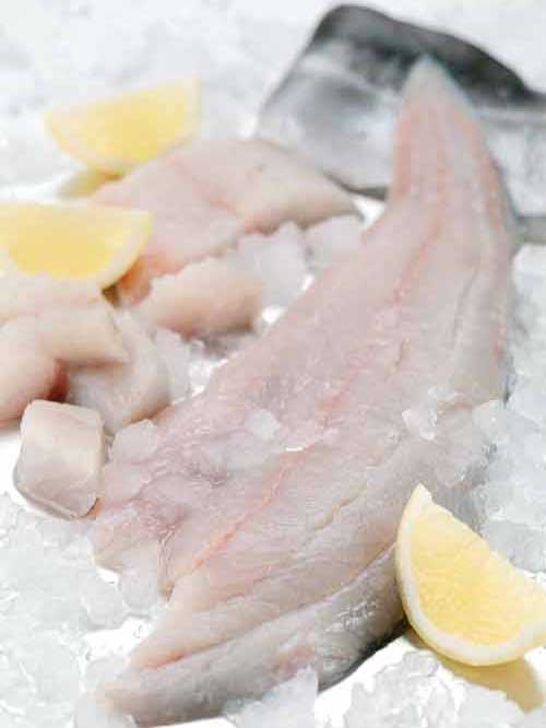 Click here to view this image of Introduction in full screen with accompanying information. Short version: <p>Man has eaten fish since the beginning of our species, making it one of our most natural food sources Photograph of Introduction